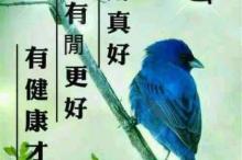 三字经儿歌歌词