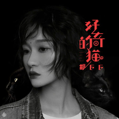 胡66 - 好奇的猫歌词